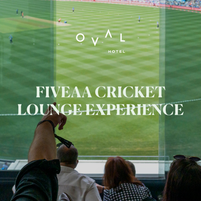 View of a cricket match from an elevated lounge, with spectators pointing towards the field and enjoying the game.